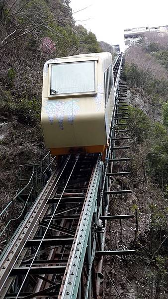 和の宿 ホテル祖谷温泉 (28).jpg