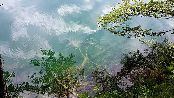 20140714_110038.jpg