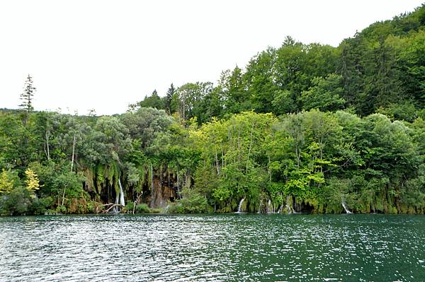 DSC_0529.JPG