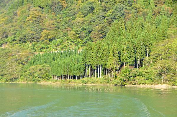 庄川峽 (16).JPG