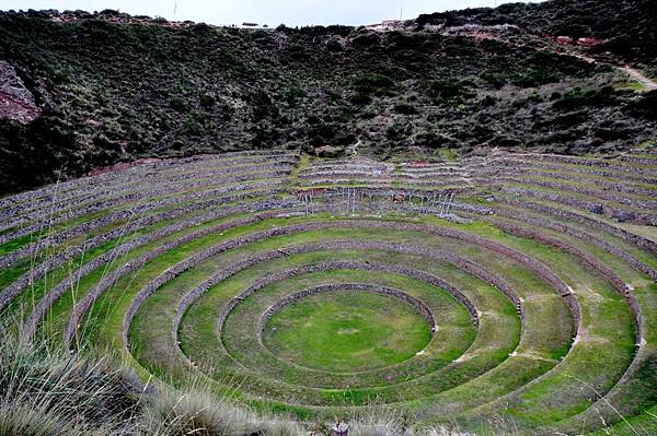 莫拉伊梯田 Moray  (6).JPG