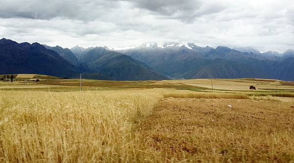 琴伽羅 Chinchero  (29).jpg