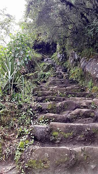 20150517_130016.jpg