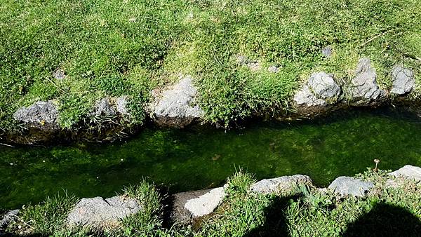 20150518_103011.jpg