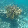 GOPR0331_1468963435686_high.JPG