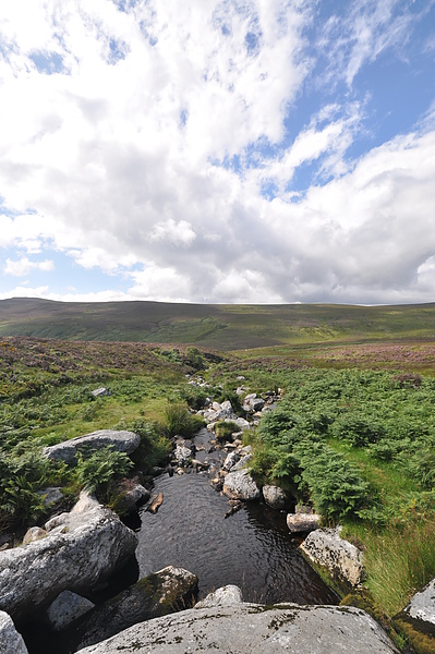 Sally Gap_P.S. I Love You 7.JPG