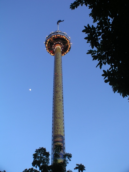 P1010103.JPG