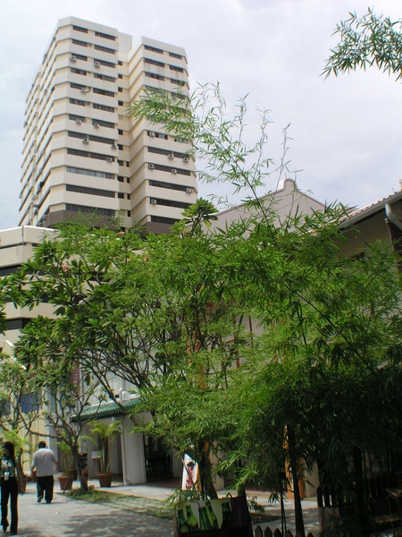 P1010307.JPG