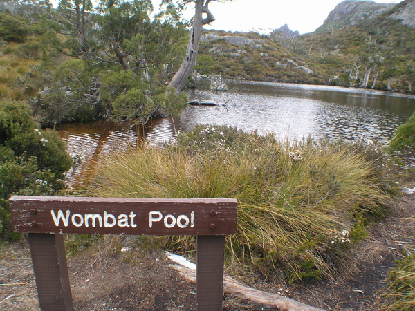 Cradle Mountain 7.JPG