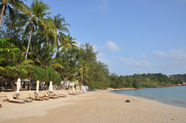 DSC_0514.JPG