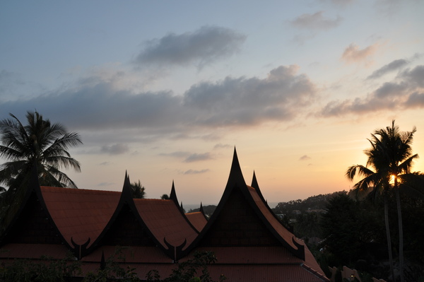 DSC_0582.JPG