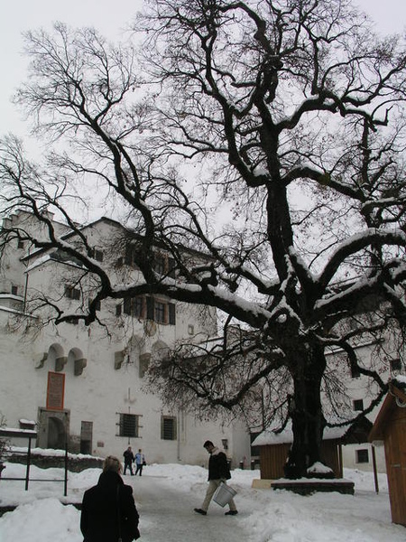 P1011859