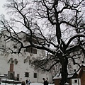 P1011859