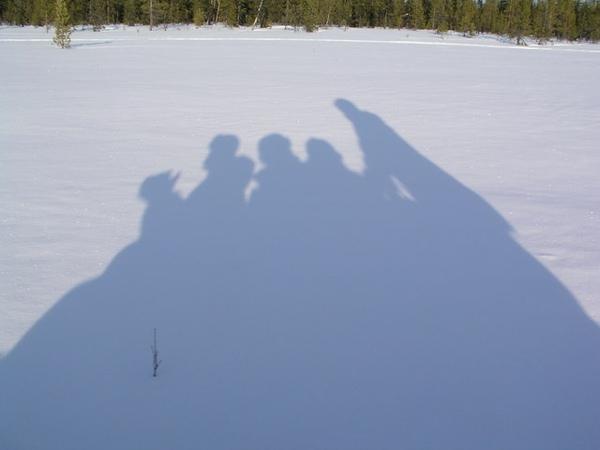 Dogsled 6