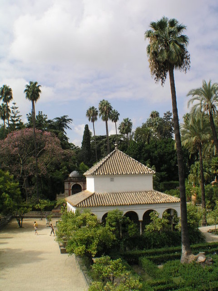 P1014528