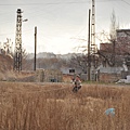 DSC_10013.JPG