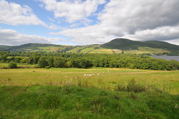 Hiking around Loch Ness 7.JPG