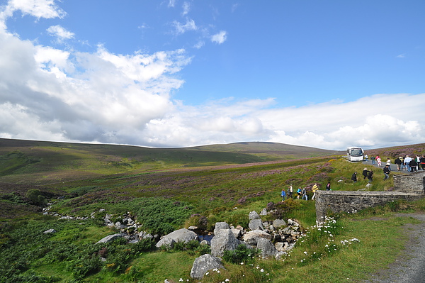 Sally Gap_P.S. I Love You 10.JPG