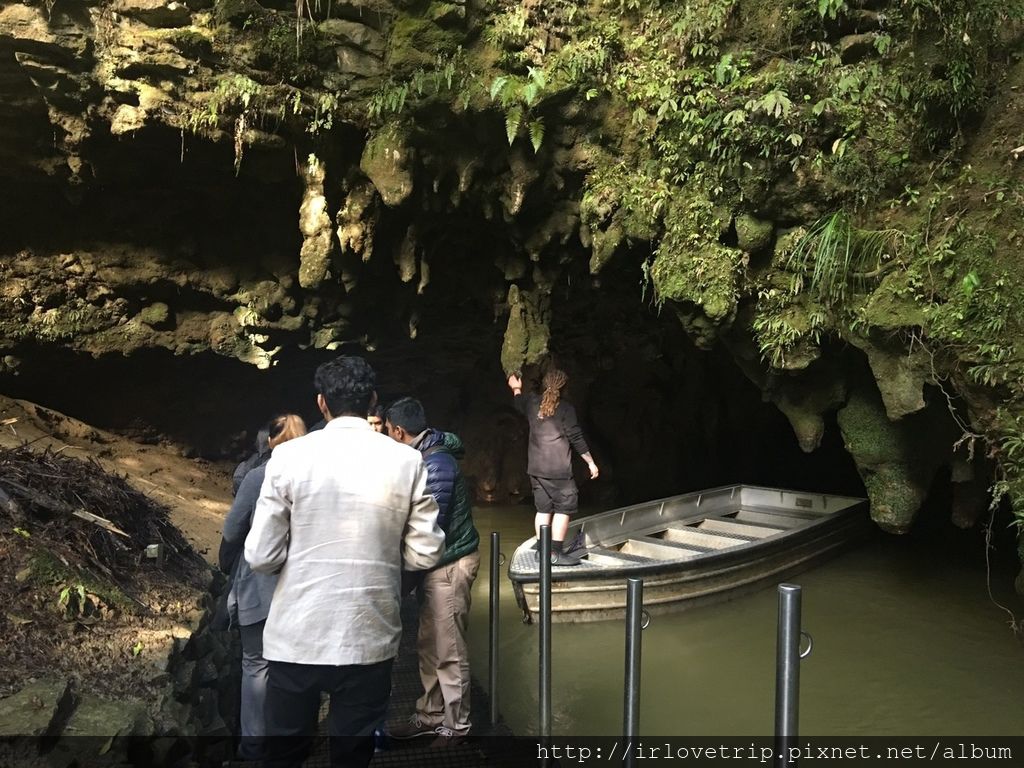 17 NZ Waitomo Cave_170714_0032.jpg