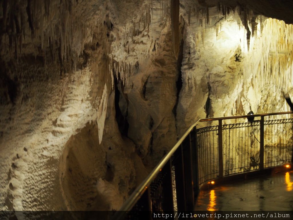 17 NZ Waitomo Cave_170714_0125.jpg