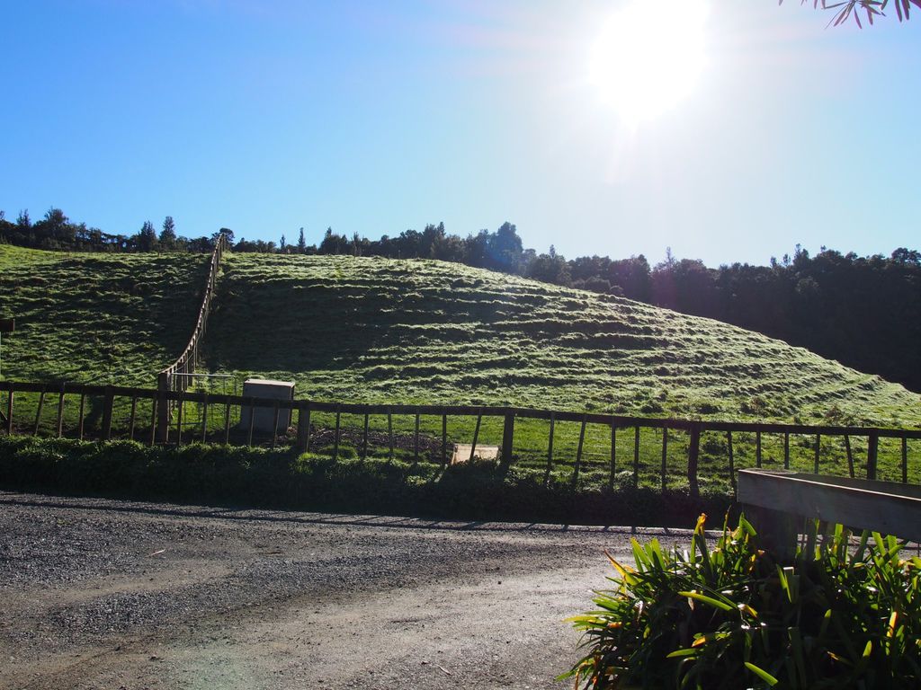 17 NZ Waitomo Cave_8469.jpg