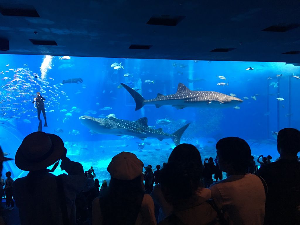 IMG_1032.jpg IMG_1032.jpg