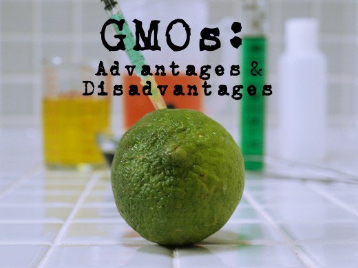 Genetically modified food2-toefl.jpg