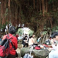 除了廟宇外就是榕樹下是台灣人集聚的地方了