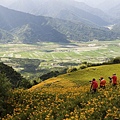 花蓮富里-六十石山-午後等拍耶蘇光 (42).jpg