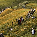 花蓮富里-六十石山-午後等拍耶蘇光 (58).jpg