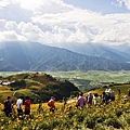 花蓮富里-六十石山-午後等拍耶蘇光 (60).jpg