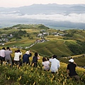 花蓮富里-六十石山-日出 (10).jpg