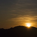 花蓮富里-六十石山-早晨金針花 (29).jpg