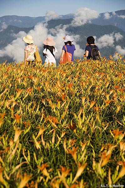 花蓮富里-六十石山-小瑞士+黃花亭隨走 (8).jpg