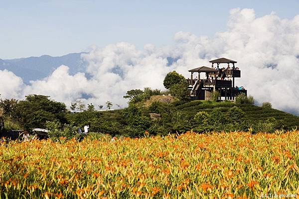 花蓮富里-六十石山-小瑞士+黃花亭隨走 (50).jpg