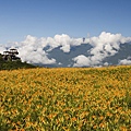 花蓮富里-六十石山-小瑞士+黃花亭隨走 (52).jpg