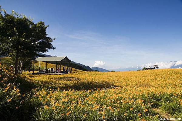 花蓮富里-六十石山-小瑞士+黃花亭隨走 (60).jpg