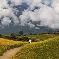 花蓮富里-六十石山-小瑞士+黃花亭隨走 (72).jpg