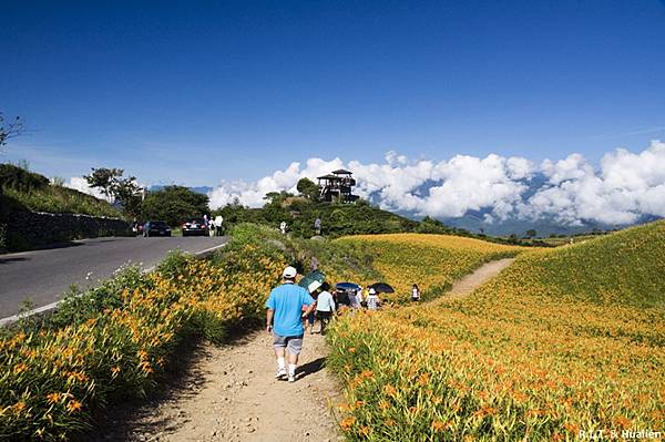 花蓮富里-六十石山-小瑞士+黃花亭隨走 (75).jpg