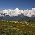 花蓮富里-六十石山-黃花亭上.jpg