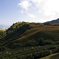 花蓮富里-六十石山-黃花亭上 (5).jpg