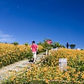 花蓮富里-六十石山-尖閣亭 (10).jpg