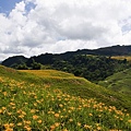 花蓮富里-六十石山-尖閣亭 (48).jpg