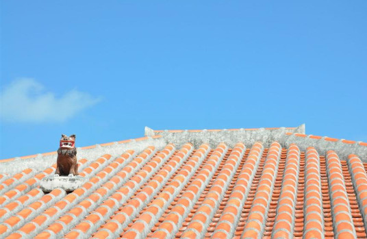 roof top 1.jpg roof top 1.jpg