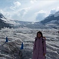 Columbia Icefield (1)