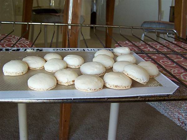 Macaron_Original.JPG