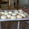 Macaron_Original.JPG