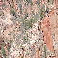 Zion_路的兩邊都是峭壁.JPG