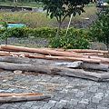 20110120-20.jpg