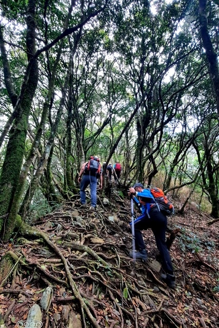 大混山縱走李棟山_220320_6.jpg